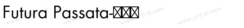 Futura Passata字体转换